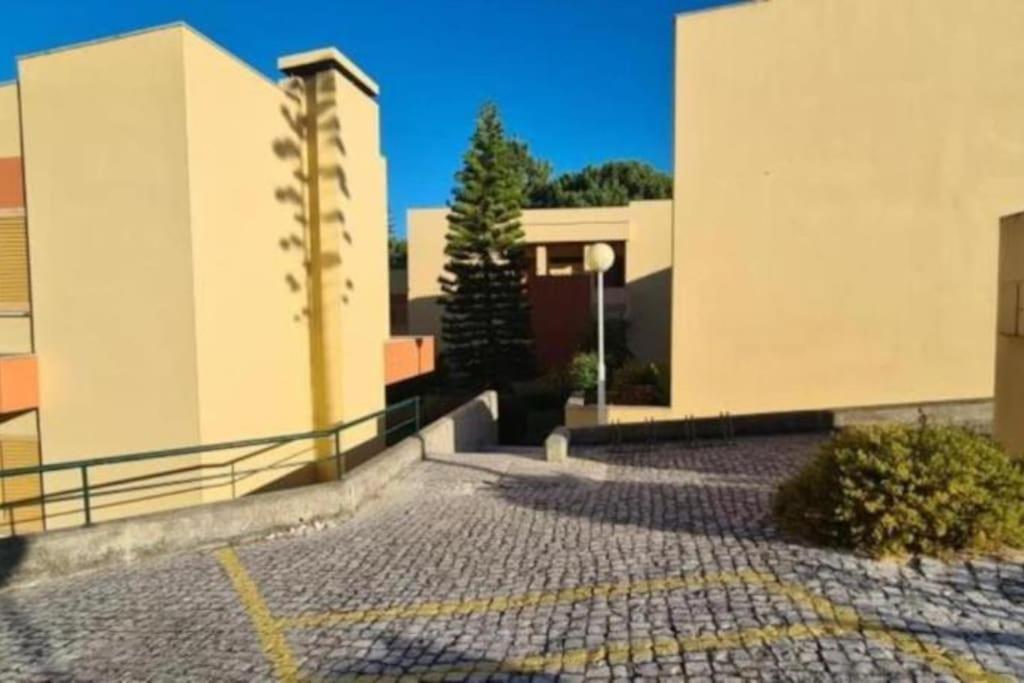 Soltroia - Casa Do Pinheiro Apartment Exterior photo